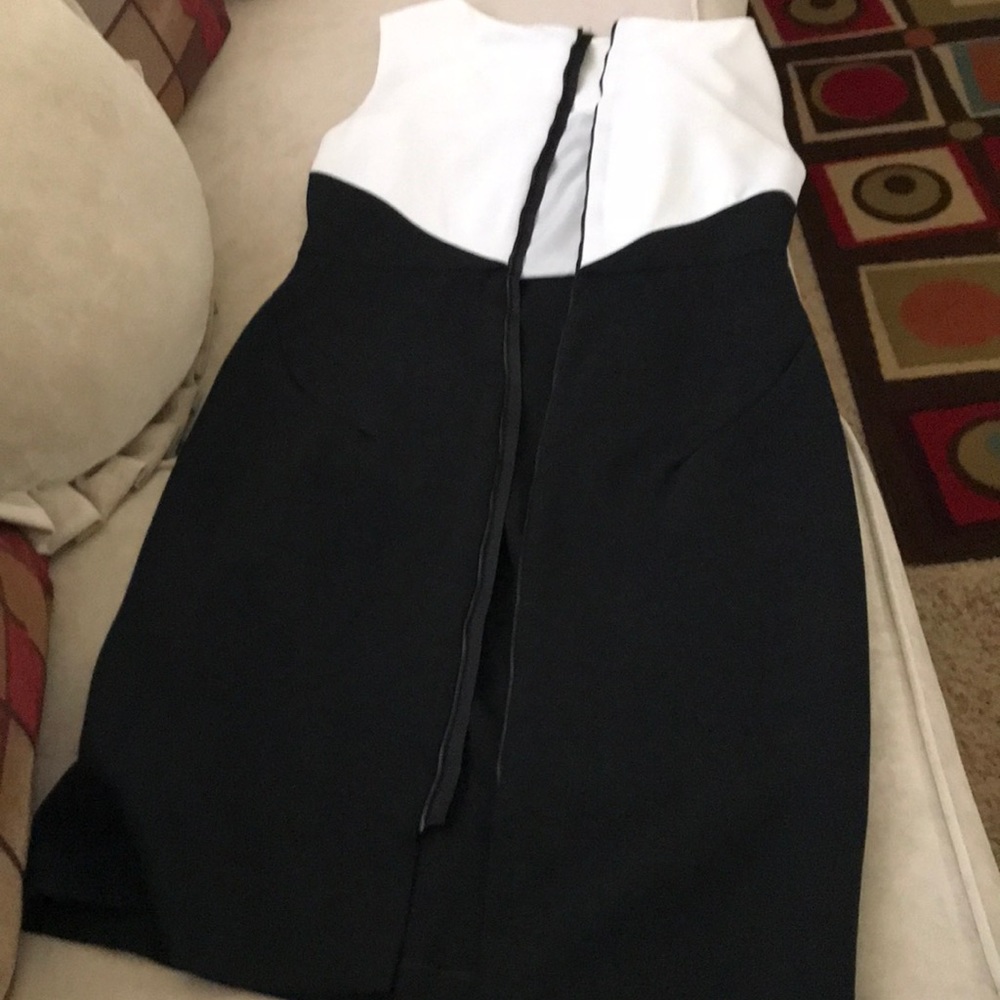 Zara Basic White & Black Bodycon Dress - Picture 5 of 5